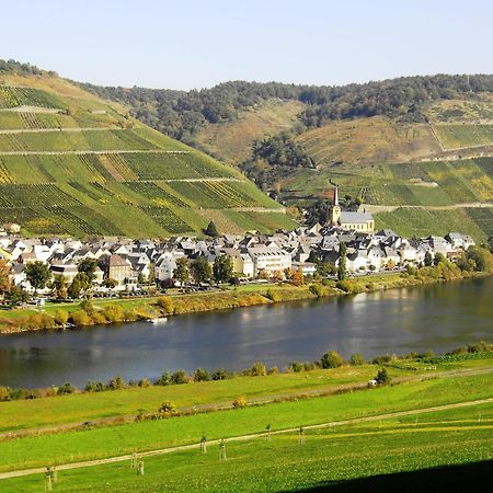 Weinstube Pension Moselbluemchen Zeltingen-Rachtig Esterno foto