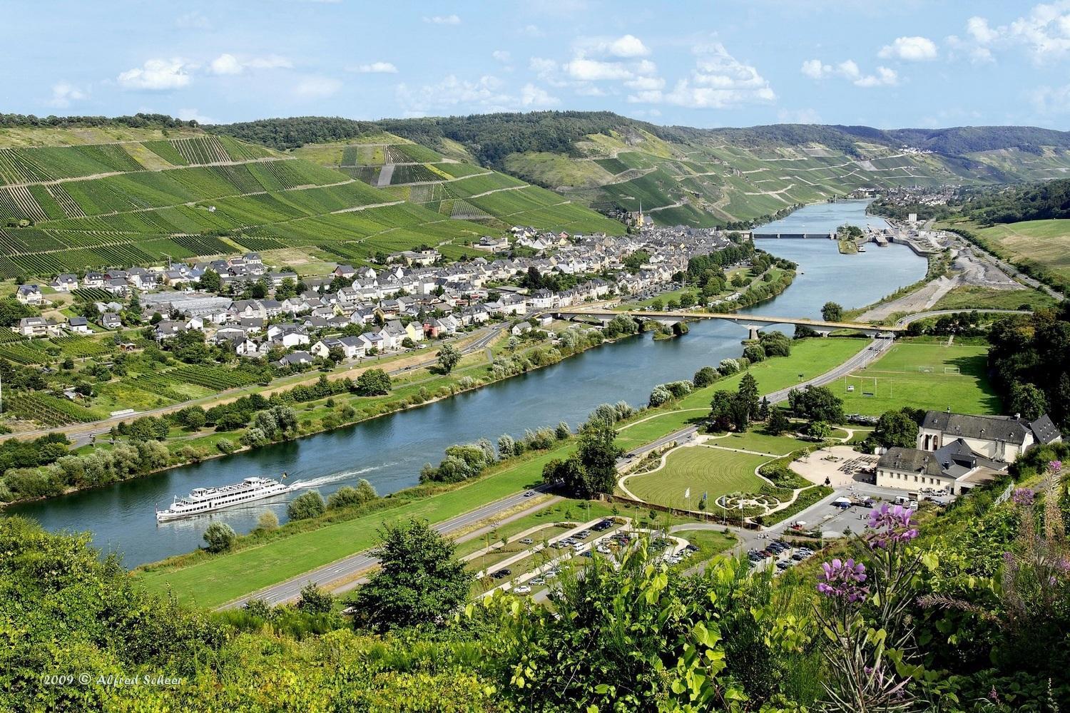 Weinstube Pension Moselbluemchen Zeltingen-Rachtig Esterno foto