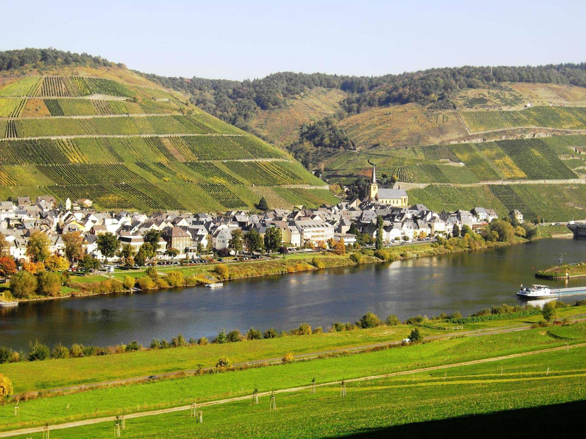 Weinstube Pension Moselbluemchen Zeltingen-Rachtig Esterno foto