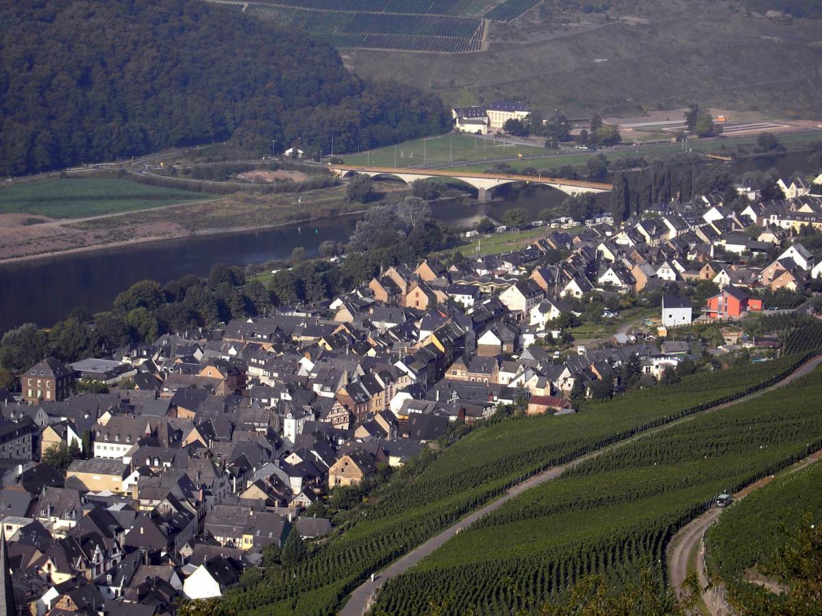 Weinstube Pension Moselbluemchen Zeltingen-Rachtig Esterno foto